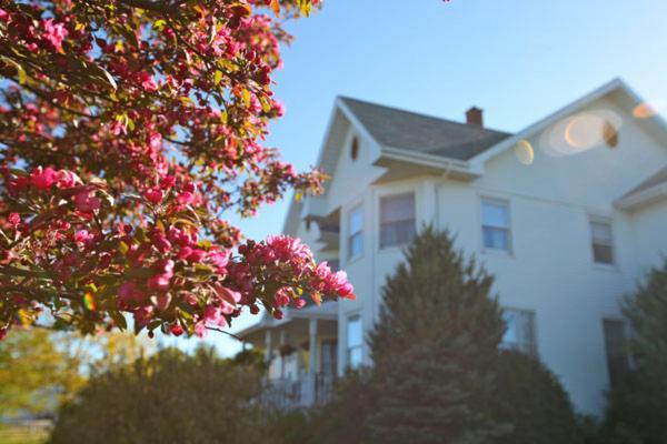 Twin Peaks B&B Mindemoya Luaran gambar